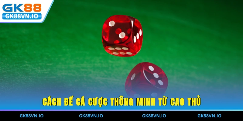 Cách để cá cược thông minh từ cao thủ