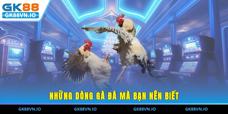 Những dòng gà đá mà bạn nên biết