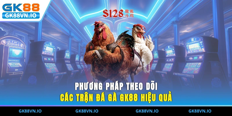 Phương pháp theo dõi các trận đá gà GK88 hiệu quả